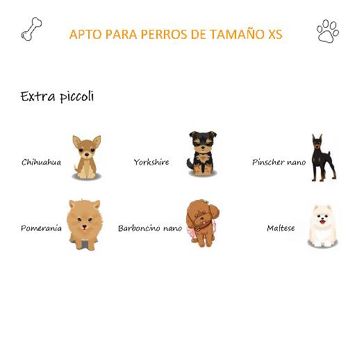 img-947cd53d-ae91-480b-ae24-081d742f7fad