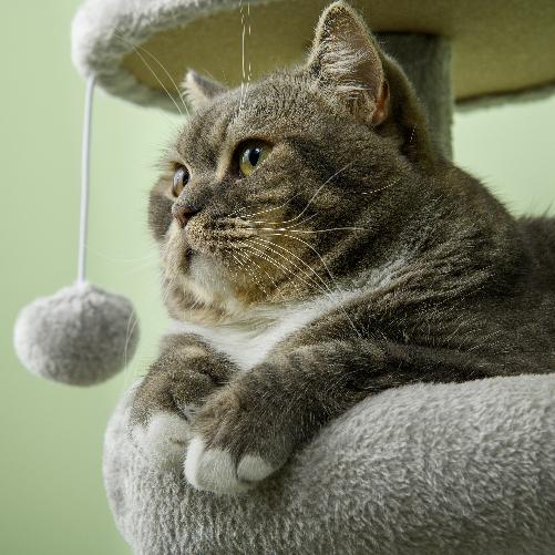 img-d3063411-08d7-4a2e-bf0d-e7deaef276e3