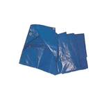 Telo Occhiellato Blu Polietilene 85g 6x10 metri Impermeabile