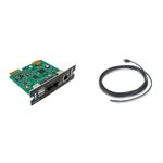 APC AP9641 - Scheda di Gestione Rete UPS con Monitoraggio Ambientale
