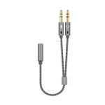 AISENS A128-0417 cavo audio 0,25 m 2 x 3.5mm 3.5mm Grigio