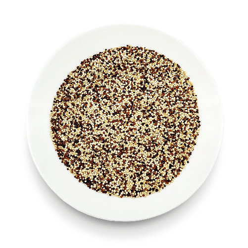 image-823c2b8c491348c2948664a9b073d7b4