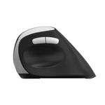 Rapoo EV250 mouse Ufficio Mano destra RF Wireless Ottico 1600 DPI