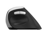 Rapoo-EV250-mouse-Mano-destra-RF-Wireless-Ottico-1600-DPI