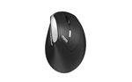 Rapoo-EV250-mouse-Mano-destra-RF-Wireless-Ottico-1600-DPI