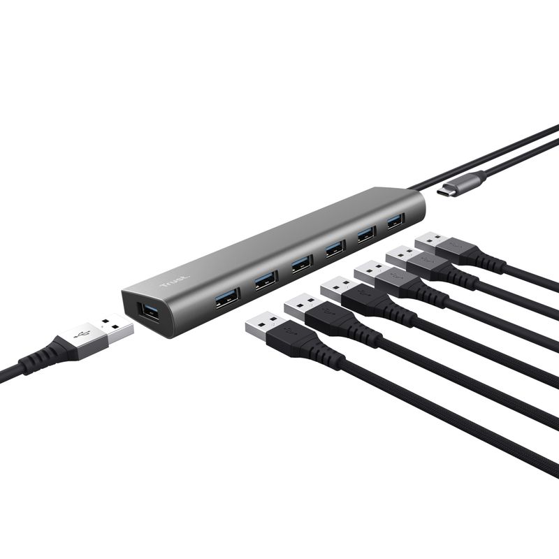 Trust-Halyx-USB-3.2-Gen-1--3.1-Gen-1--Type-A-5000-Mbit-s-Argento