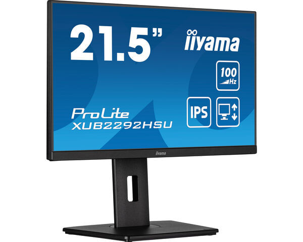 iiyama-ProLite-XUB2292HSU-B6-Monitor-PC-559-cm--22--1920-x-1080-Pixel-Full-HD-LED-Nero