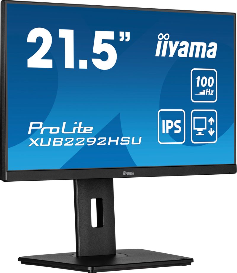 iiyama-ProLite-XUB2292HSU-B6-Monitor-PC-559-cm--22--1920-x-1080-Pixel-Full-HD-LED-Nero