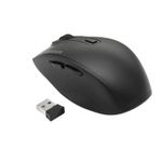 eSTUFF-GLB214002-mouse-Mano-destra-RF-senza-fili---Bluetooth-IR-LED-1800-DPI--G305-Wireless-Bluetooth-Dual---mouse---War