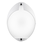 Plafoniera Contemporanea Cocoup Alluminio Bianco 1 Luce Led 7W 4000K