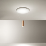 Plafoniere In Metallo Contemporanea Hang Bianco Led