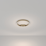 Lampadario A Sospensione Moderno Rim Alluminio Ottone 1 Led 25W