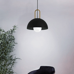 Lampadario-Industrial-Calmanera-1-Luce-Acciaio-Nero-E-Ottone