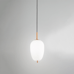 Lampadario In Metallo Contemporaneo Cirro Bianco Led Diffusore Allungato