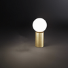img-0160be20-2537-4f3b-a529-b6efda753b62.png