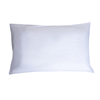img-13f0d042-c3c7-4a21-919e-20422100a6df.png
