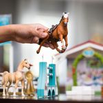 schleich-HORSE-CLUB-42440-set-da-gioco