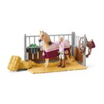 schleich-HORSE-CLUB-42440-set-da-gioco