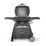 Weber Q 3200 con Stand - Barbecue a Gas