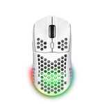 Trust-GXT-929-Helox-mouse-Giocare-Mano-destra-RF-Wireless-Ottico-4800-DPI