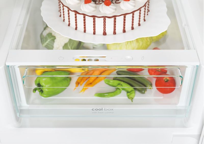 Candy-Fresco-CCE4T620DX-Libera-installazione-377-L-D-Argento