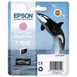 Epson Cartuccia inchiostro magenta Light Squalo