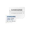 Samsung-EVO-Plus-256-GB-MicroSDXC-UHS-I-Classe-10