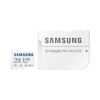 Samsung-EVO-Plus-256-GB-MicroSDXC-UHS-I-Classe-10