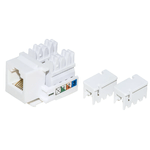 Modulo Keystone Jack 6 Poli  Rj12 Per Telefonia 6/6