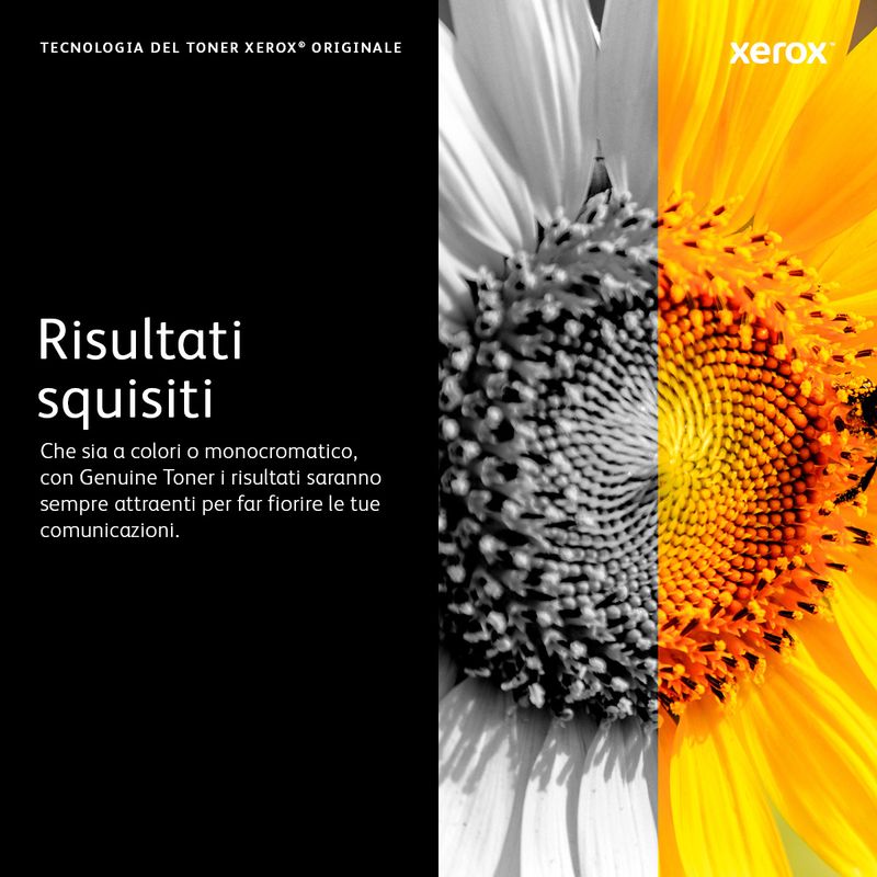 Xerox-106R03744-cartuccia-toner-1-pz-Originale-Ciano