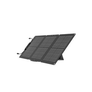 EcoFlow EFSOLAR60 pannello solare 60 W Silicone monocristallino