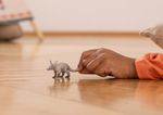 schleich-WILD-LIFE-14863-action-figure-giocattolo--SCHLEICH-Wild-Life-Aardvark-Toy-Figure-3-to-8-Years-Grey--14863--