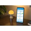 FRITZ-DECT-500-INT-Lampadina-intelligente