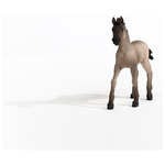 Schleich Horse Club Criollo Definitivo Foal