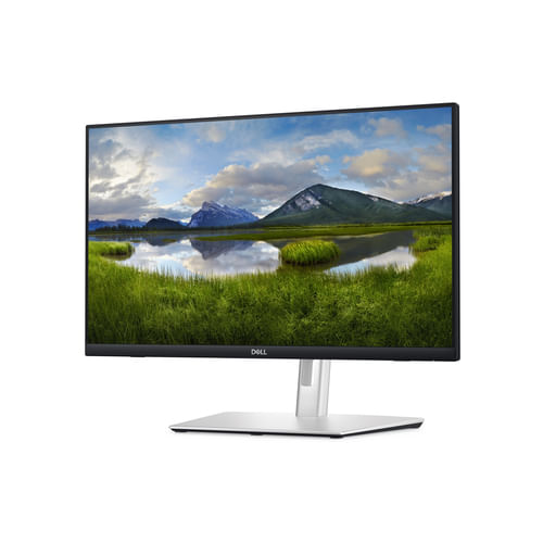 DELL-P-Series-P2424HT-Monitor-PC-605-cm--23.8---1920-x-1080-Pixel-Full-HD-LCD-Touch-screen-Nero-Argento