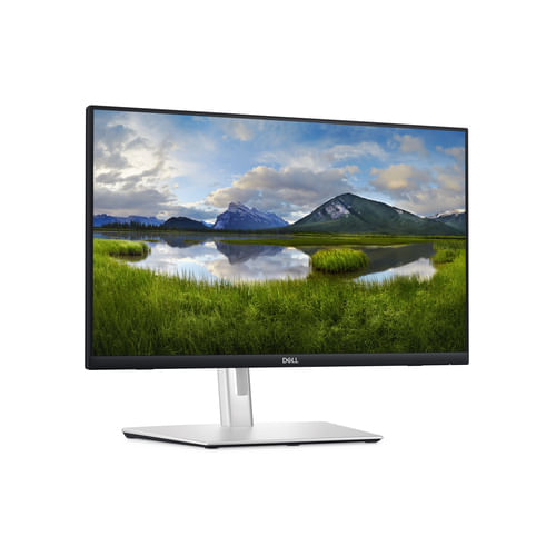 DELL-P-Series-P2424HT-Monitor-PC-605-cm--23.8---1920-x-1080-Pixel-Full-HD-LCD-Touch-screen-Nero-Argento