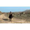 Rockstar-Games-Red-Dead-Redemption-Standard-Cinese-semplificato-Cinese-tradizionale-Tedesca-Inglese-ESP
