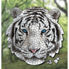 img-3926fe71-6496-491e-b429-0fbc5dada30e.png