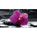 Lupia - Quadro su tela canvas DEEP 100X180 ORCHID IN BLACK