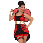 Costume Da Coccinella T-2