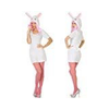 img-8a983254-3f16-412a-8618-621a3cdeea48.png