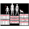 img-f73f04e8-e13f-4e08-bb62-e7b74548d8a4.png