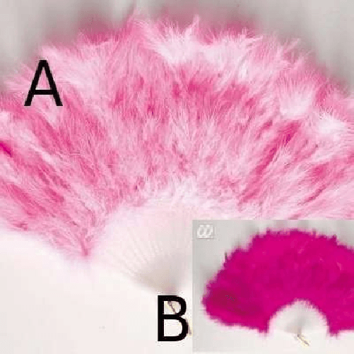 img-8ca91ec3-314a-423d-986f-196df71f4da4.png