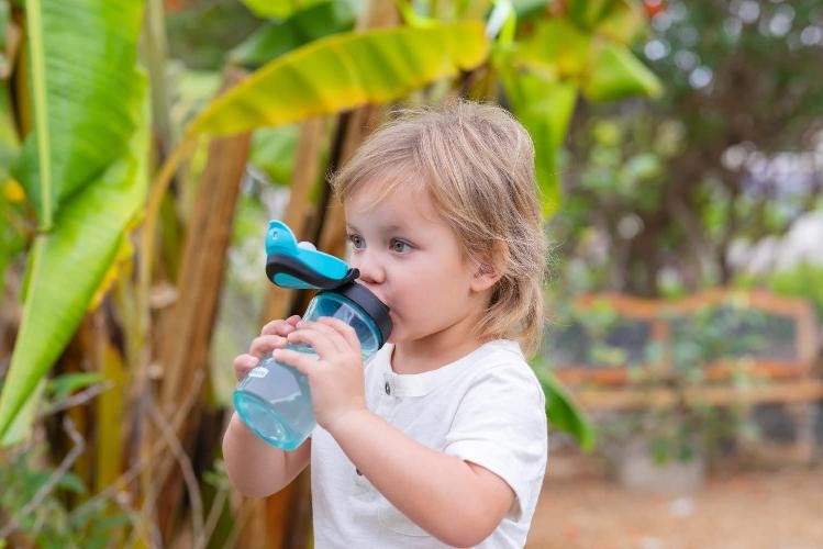 img-b9d67cc8-ceab-42f8-be91-b626f12837a6