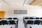 NEWSTAR-Neomounts-adattatore-per-doppio-schermo
