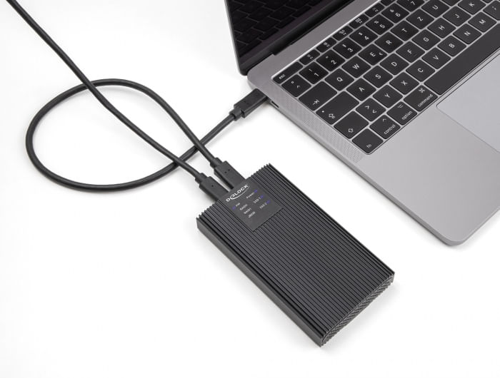 Delock-Custodia-esterna-USB-20-Gbps-per-2-SSD-M.2-NVMe-PCIe-con-presa-USB-Type-C-e-RAID---senza-attrezzi