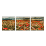 Lupia - Collezione Set 3 pezzi Quadri su Tela FIELD OF POPPIES