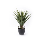 Lupia - Aloe Pianta artificiale In Vaso 70 cm