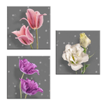 Lupia - Set 3 pezzi Quadri su tela tema floreale Canvas Day 38x38 cm FLOWER GREY