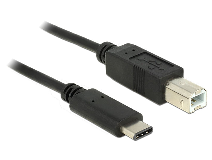 Delock-Cavo-USB-2.0-da-tipo-C-a-tipo-B-da-1-m